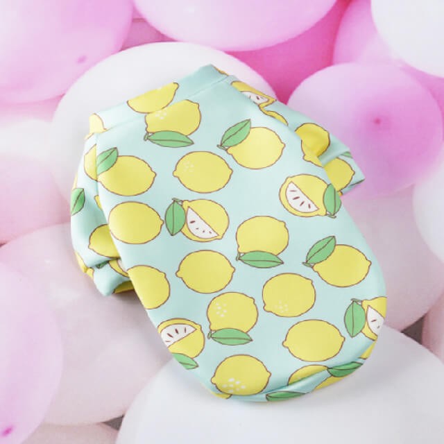 Warm pet shirt large size green