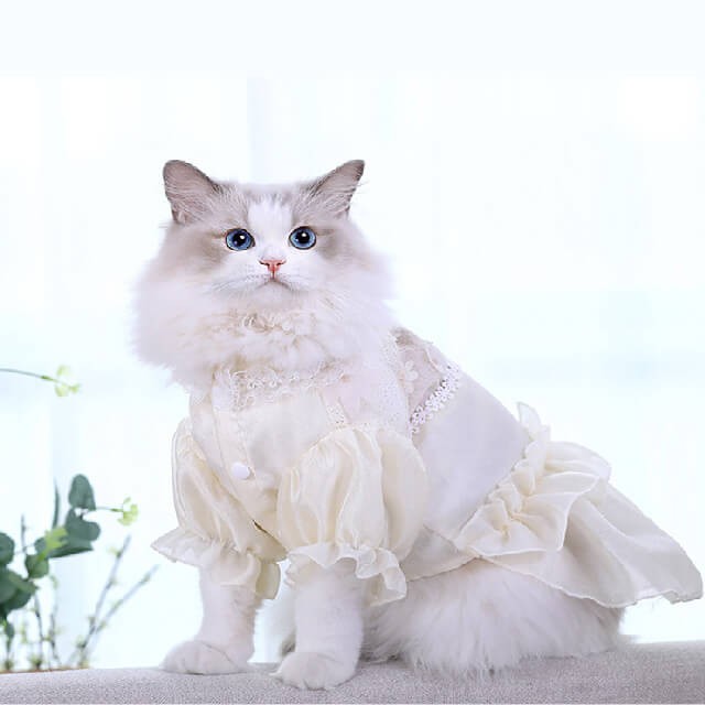 Cat princess dress small size