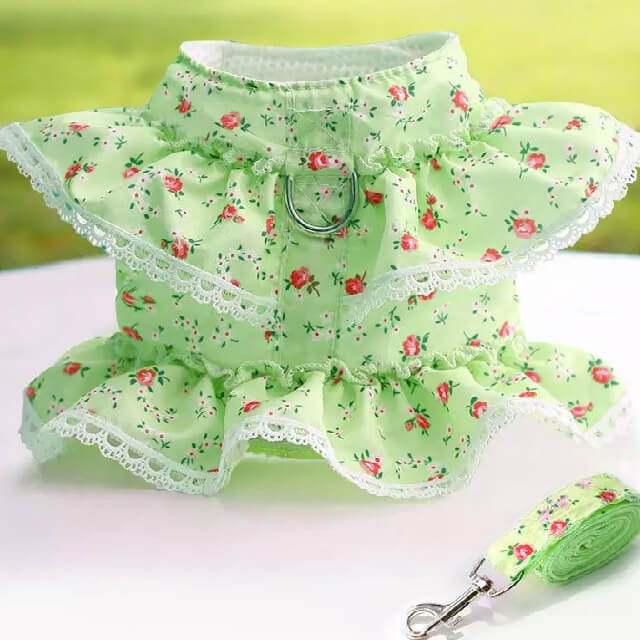 Dog green dress harness-vest with leash large size