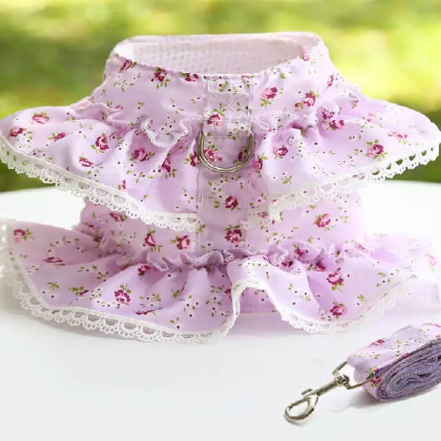 Dog purple dress harness-vest with leash large size