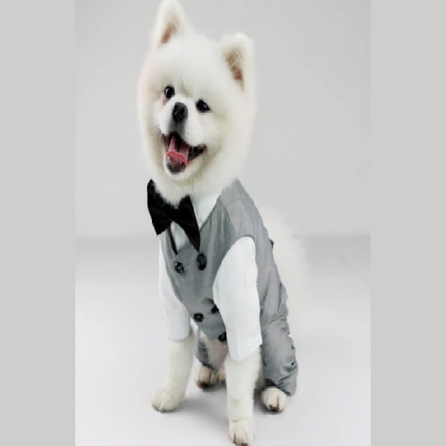 Pet wedding suit vest medium size