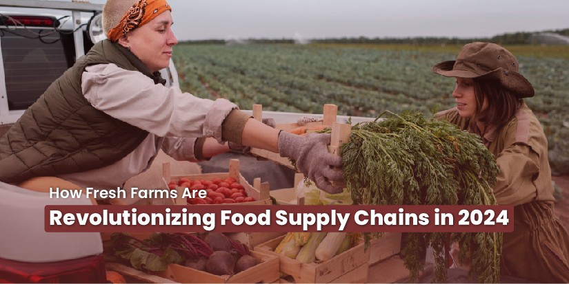How Fresh Farms Are Revolutionizing Food Supply Chains in 2024