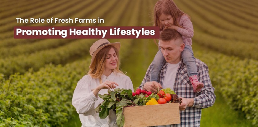Role of Fresh Farms in Promoting Healthy Lifestyles