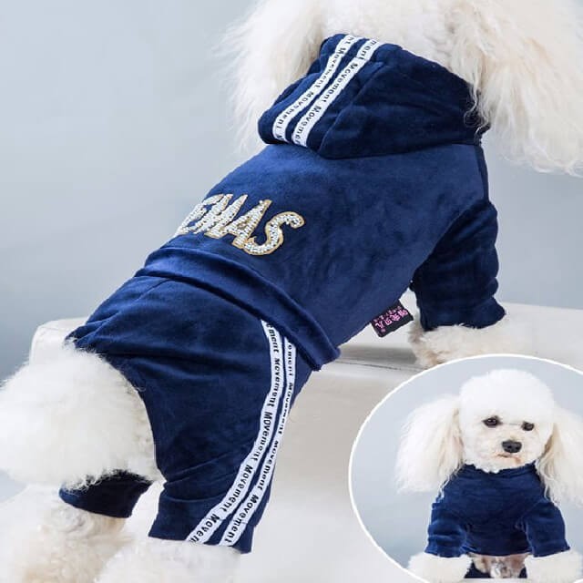 Pet blue xlarge size jumpsuit