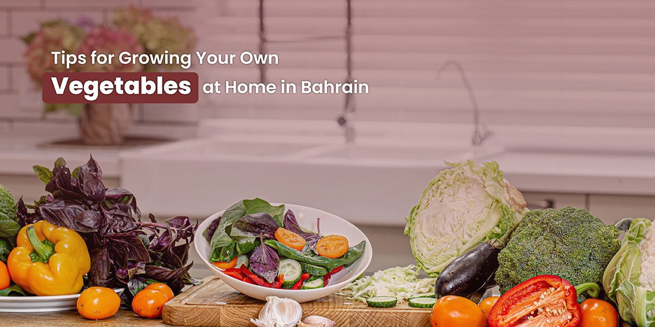 Tips for Growing Your Own Vegetables at Home in Bahrain