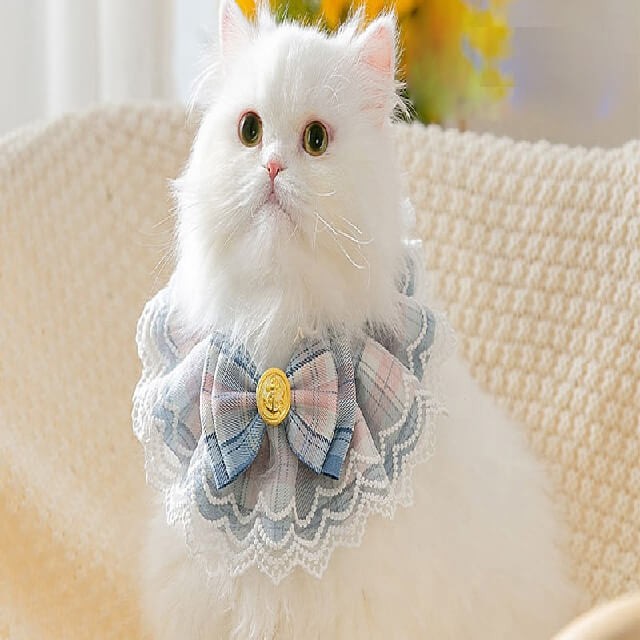 Pet lace collar medium size